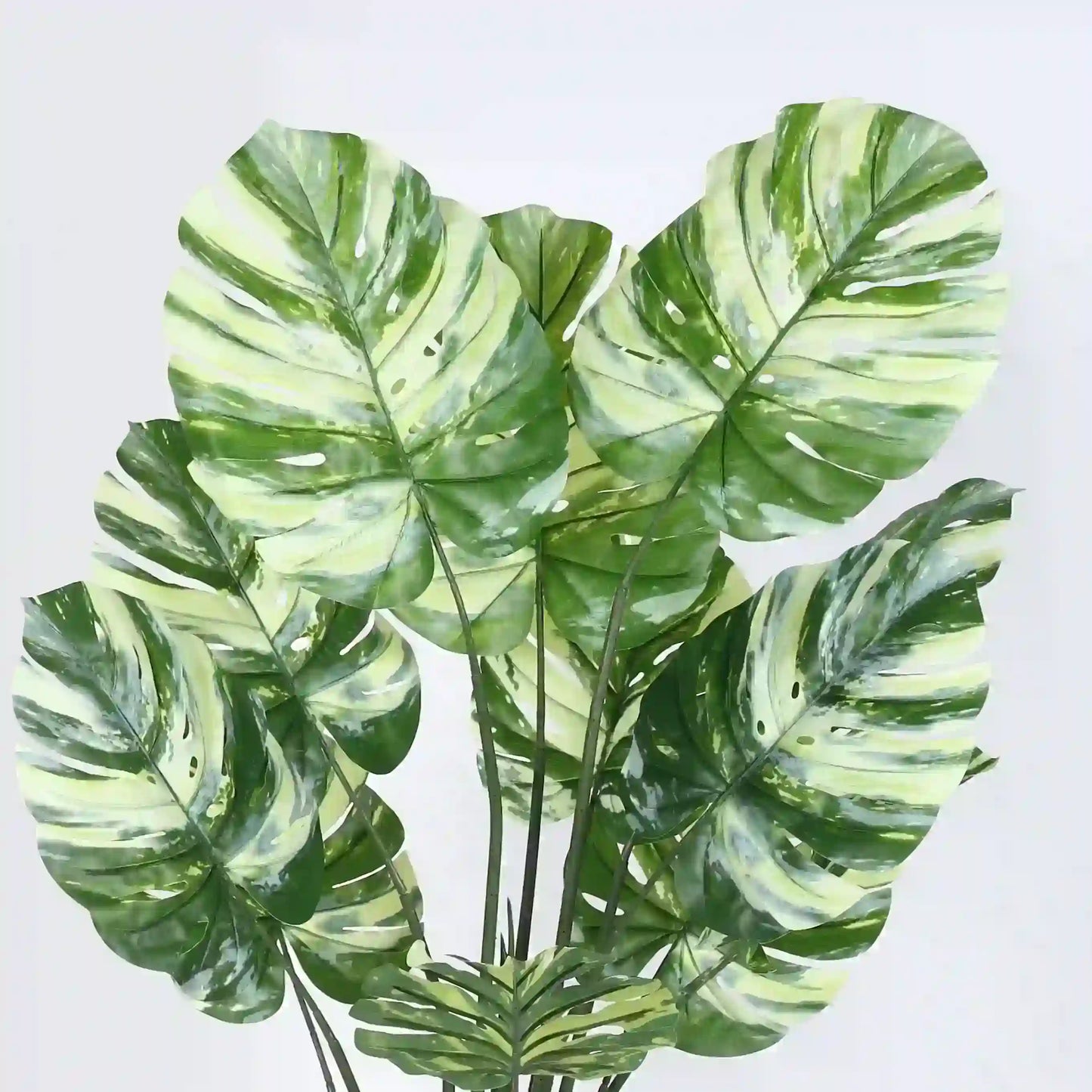 Variegated Monstera Foliage Plant with Pot - Artificial Plant