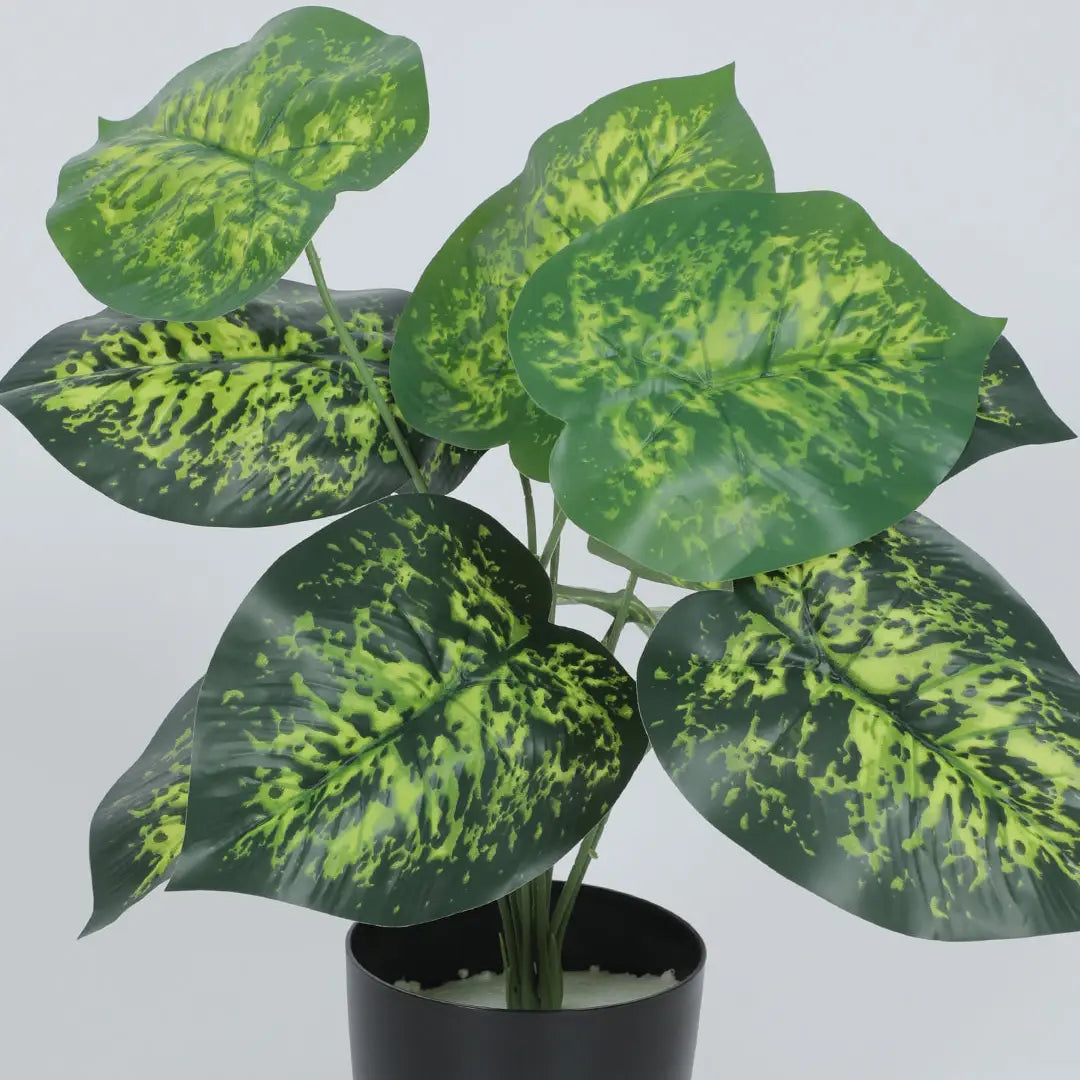 Dieffenbachia Plant with Pot - Artificial Plant