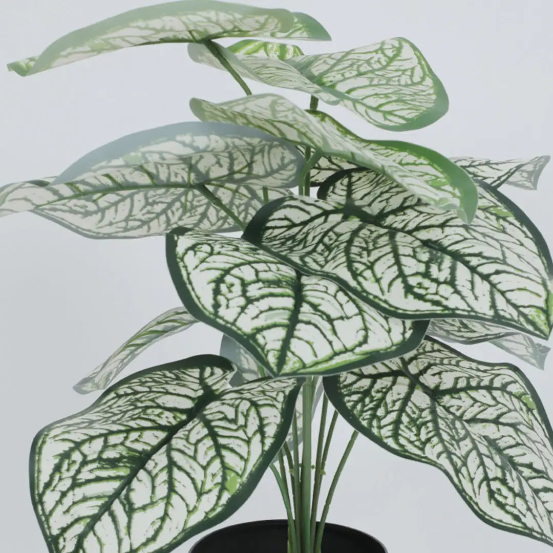 Caladium Leaf Indoor Outdoor Plant with Pot - Artificial Plant