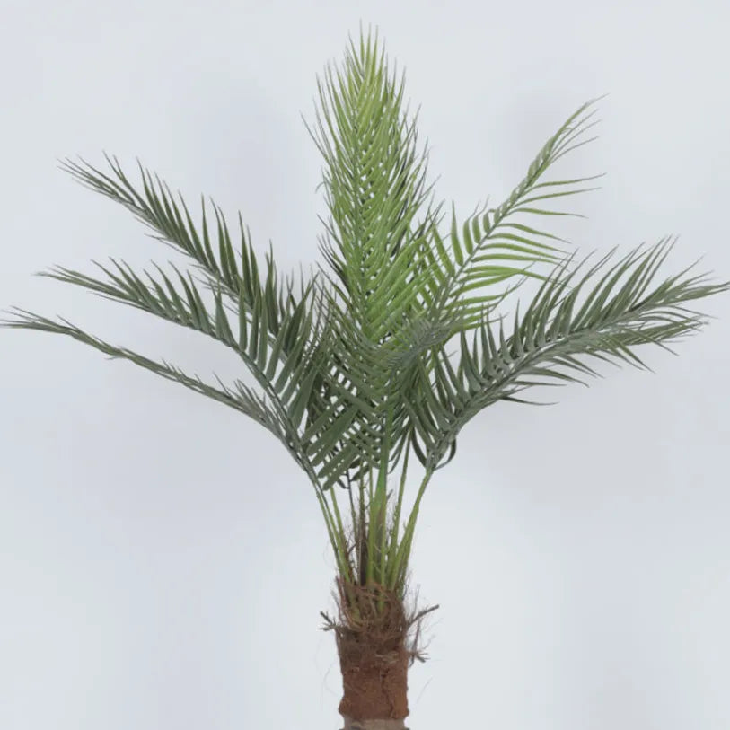 Areca Palm Plant with Pot for Living Spaces - Artificial Plant