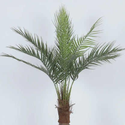 Areca Palm Plant with Pot for Living Spaces - Artificial Plant