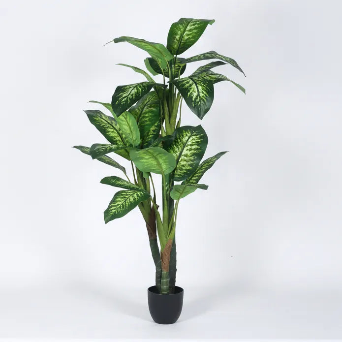 Elegant Dieffenbachia Plant with Pot - Artificial Plant
