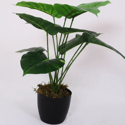 Ornamental Plant with Pot for Home Decor - Artificial Plant