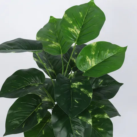 Elegant Guiana Chestnut Plant with Pot - Artificial Plant