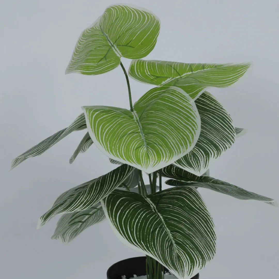 Dieffenbachia Leaf Decor Accent Plant - Artificial Plant