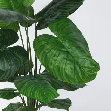 Anubias Indoor Outdoor Plant with Pot - Artificial Plant