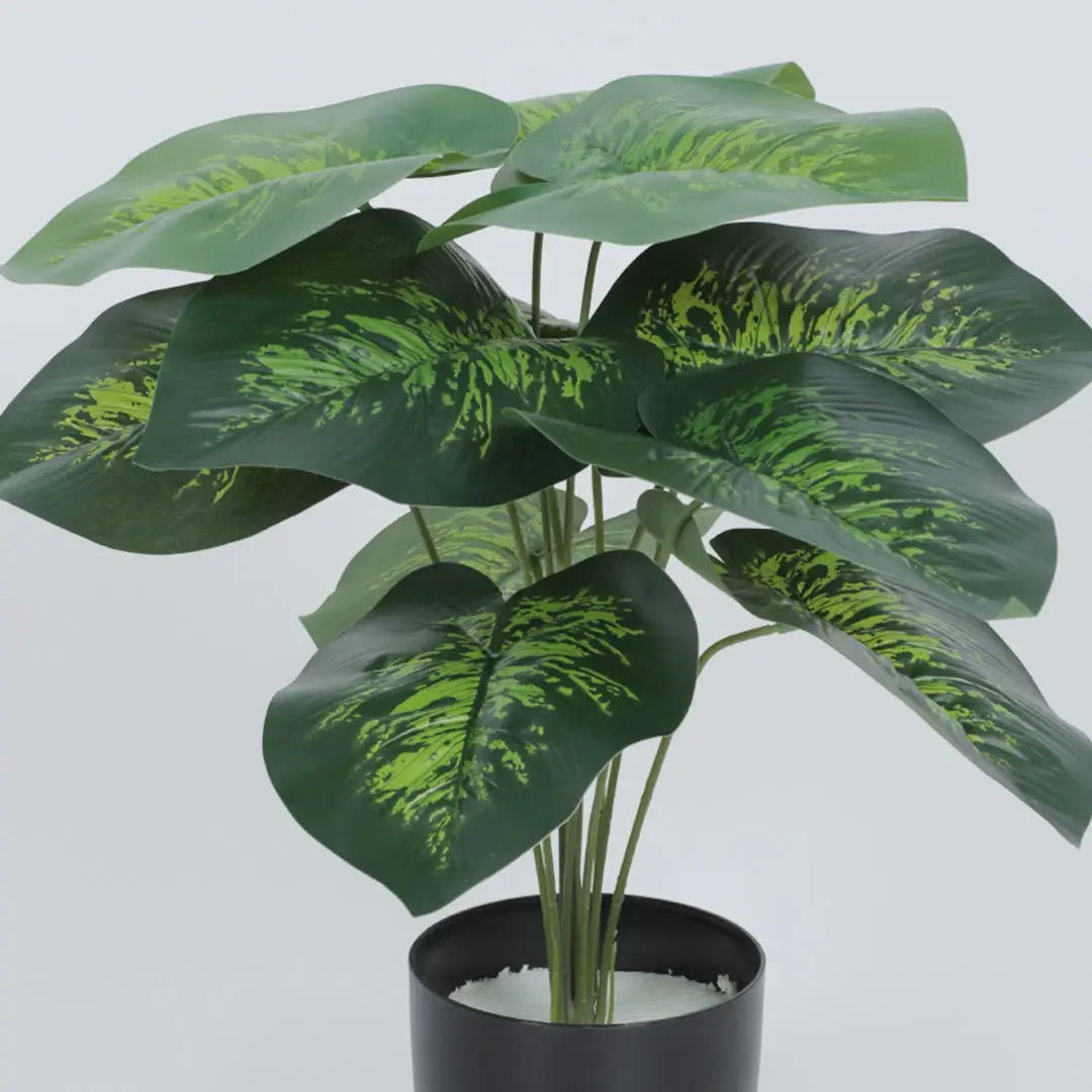 Mini Dieffenbachia Plant with Pot for Decor - Artificial Plant