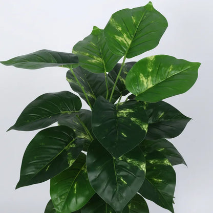Photos Plant for Home and Office Decor - Artificial Plant