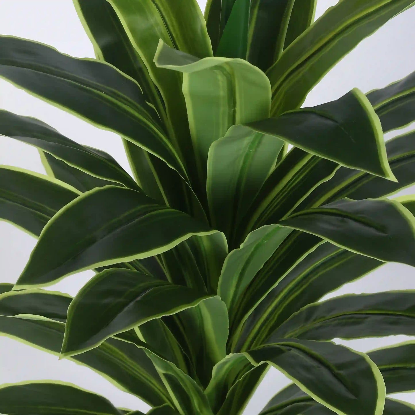 Upright Dracaena Plant with Pot for Decor - Artificial Plant