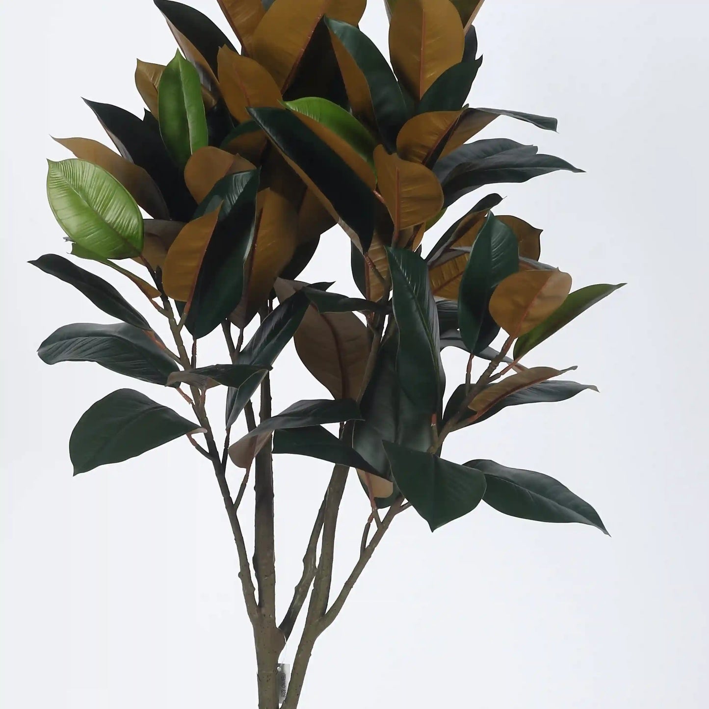 Stylish Rubber Plant with Pot - Artificial Plant