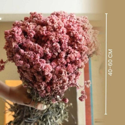 Pastel Pink Dried Daisy Flower Bunch Decor
