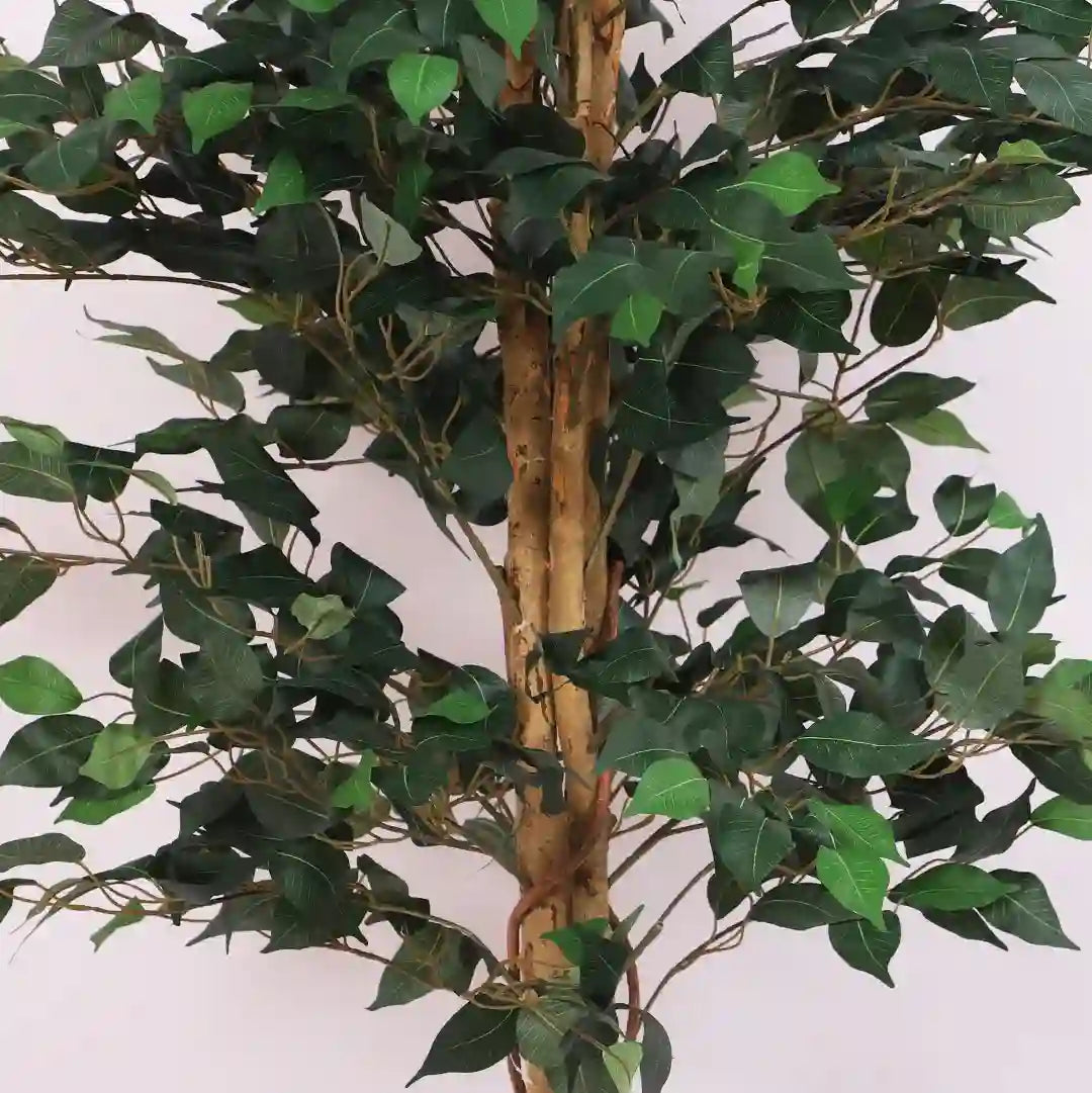 Ficus Potted Plant for Decor - Artificial Plant