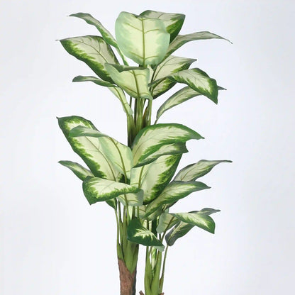 Natural Looking Dieffenbachia Decorative Plant - Artificial Plant