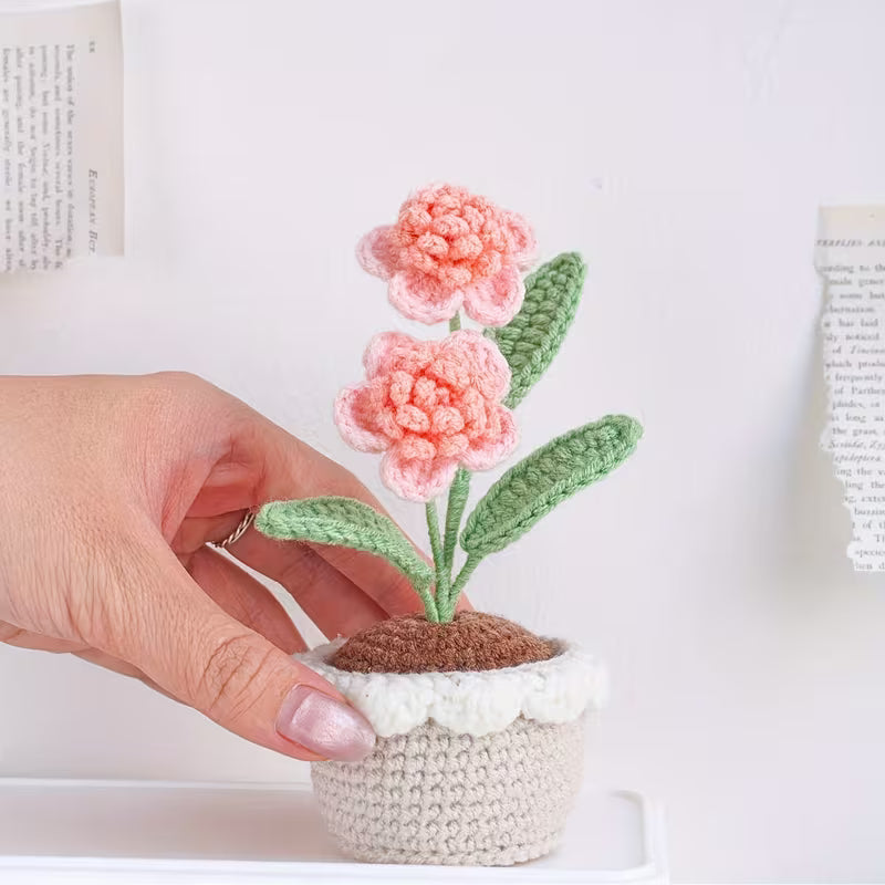 Crochet Flower with Pots - Home Decor - Carnations