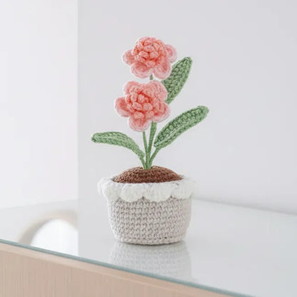 Crochet Flower with Pots - Home Decor - Carnations
