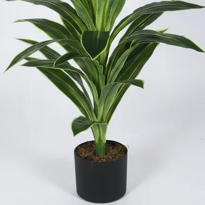 Faux Dracaena Plant with Pot for Home Decor - Artificial Plant