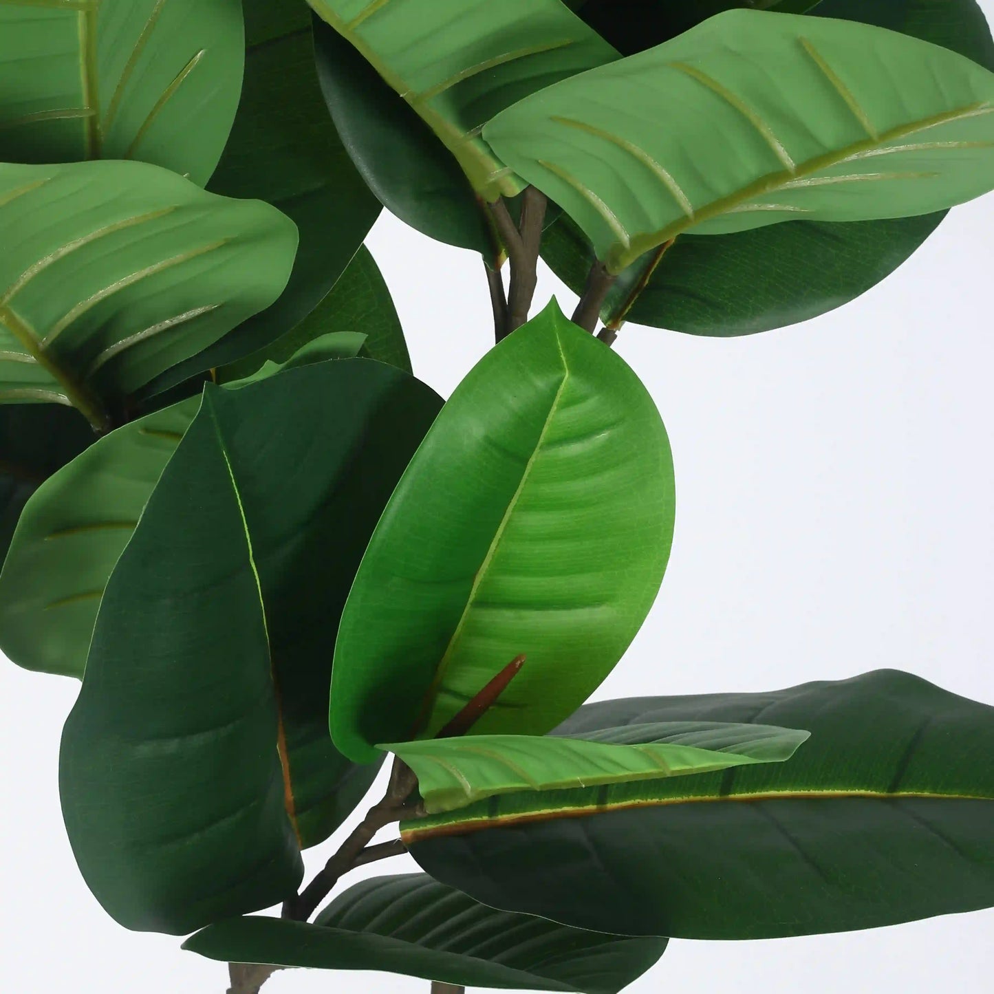 Rubber Tree Style Plant with Pot - Artificial Plant