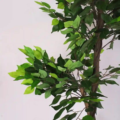 Natural Looking Ficus Plant with Pot - Artificial Plant