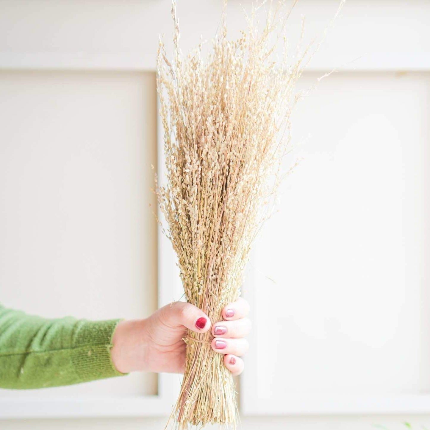 Star Grass Dried Flower Bunch Home Decor