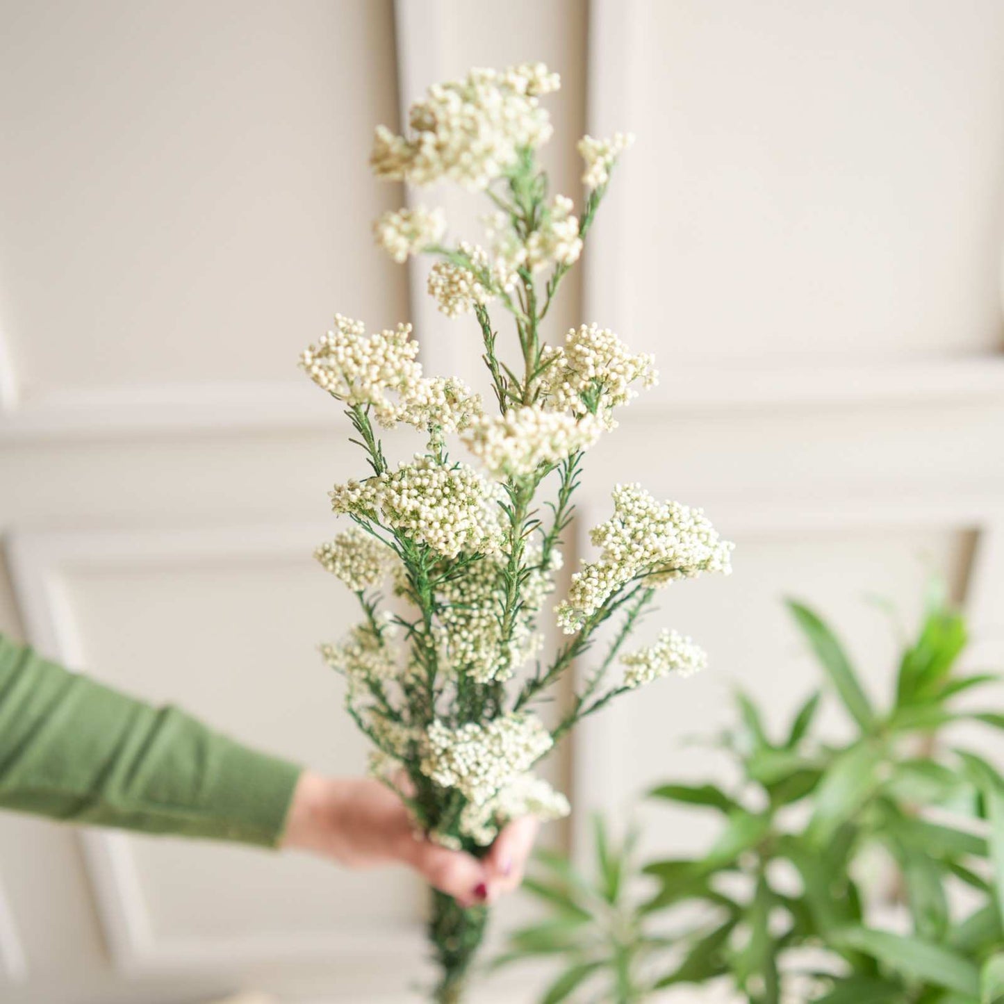 White Rice Flower Dried Bunch Home Decor