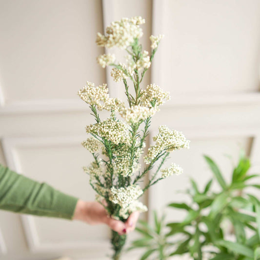 White Rice Flower Dried Bunch Home Decor
