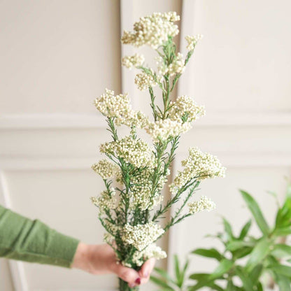 White Rice Flower Dried Bunch Home Decor