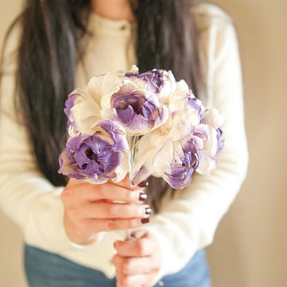 Dual Shade Sola Peony Dried Flower Bunch