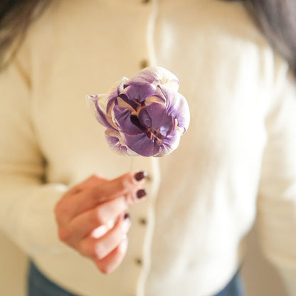 Dual Shade Sola Peony Dried Flower Bunch