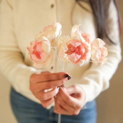 Dual Shade Sola Peony Dried Flower Bunch