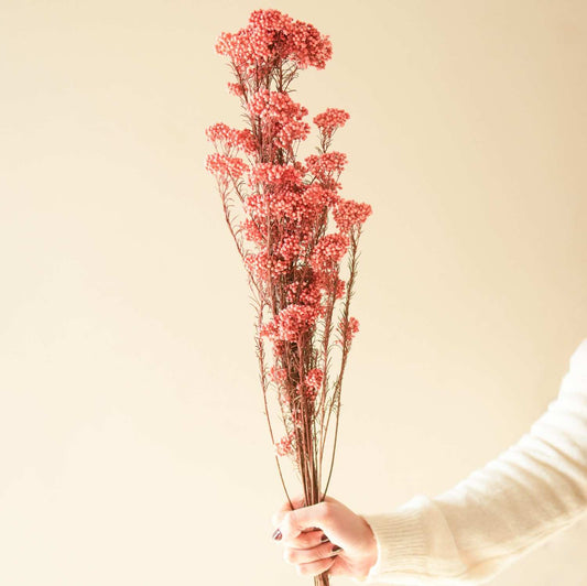 Rice Flower Dried Bunch Home Decor Accent
