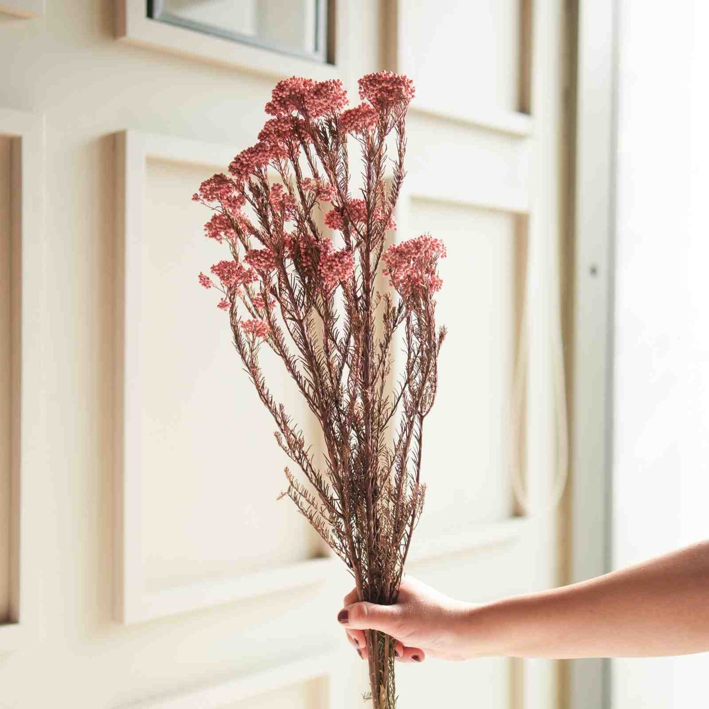 Rice Flower Dried Bunch Home Decor Accent