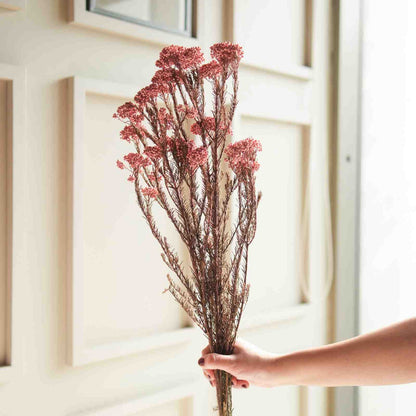 Rice Flower Dried Bunch Home Decor Accent