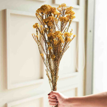 Rice Flower Dried Bunch Home Decor Accent