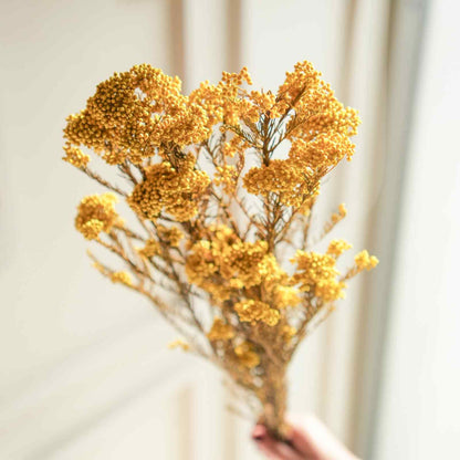Rice Flower Dried Bunch Home Decor Accent