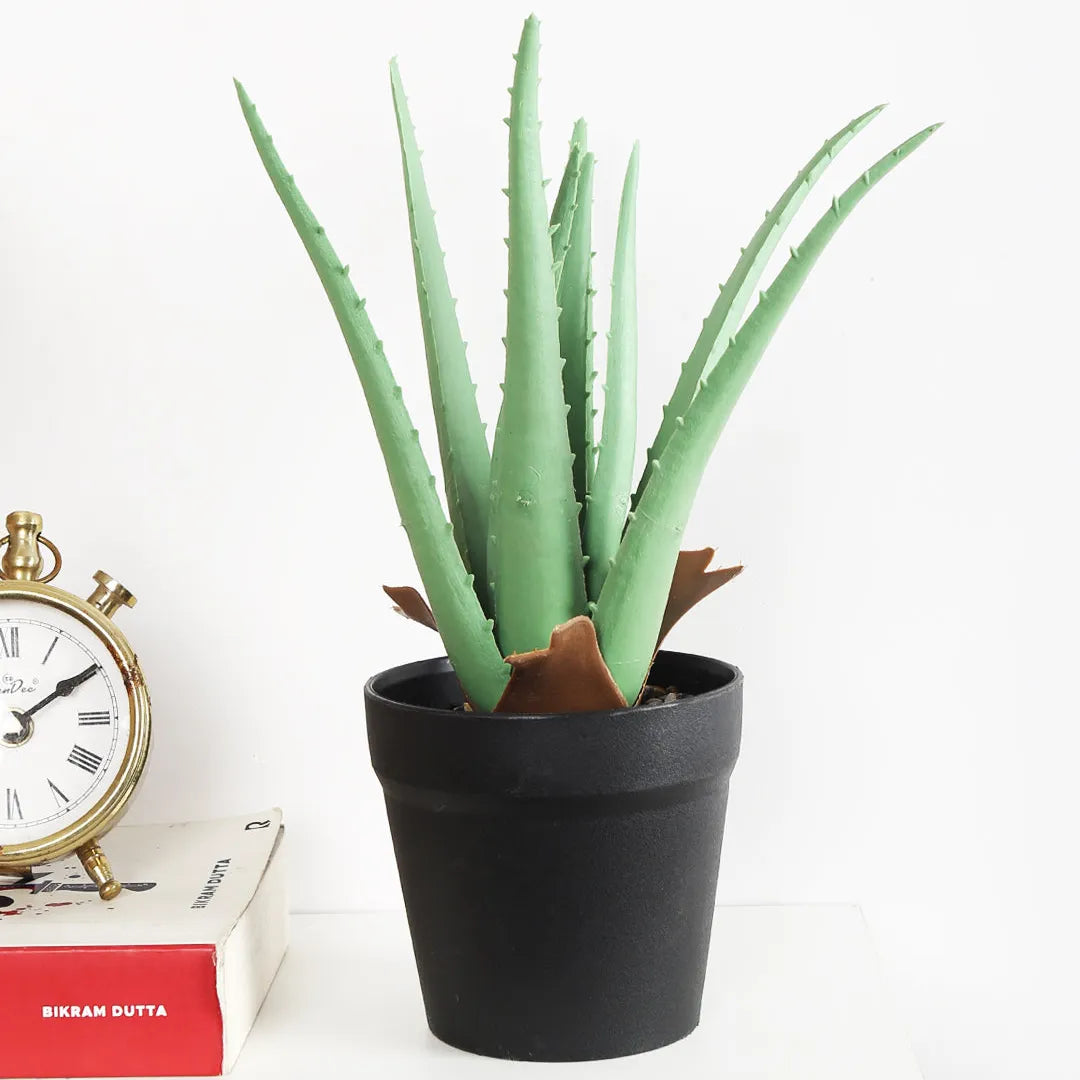 Faux Aloe Vera Bonsai Plant With Black Pot - Artificial Plant