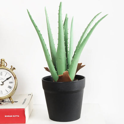 Faux Aloe Vera Bonsai Plant With Black Pot - Artificial Plant