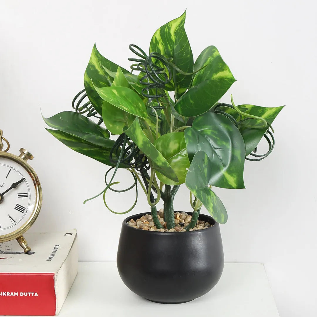 Faux Bonsai Money Plant with Black Pot - Artificial Plant