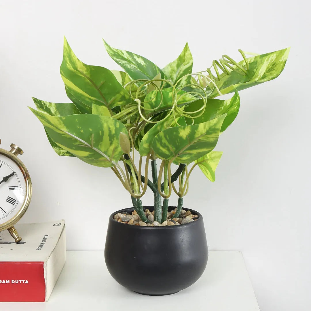 Faux Bonsai Money Plant with Black Pot - Artificial Plant