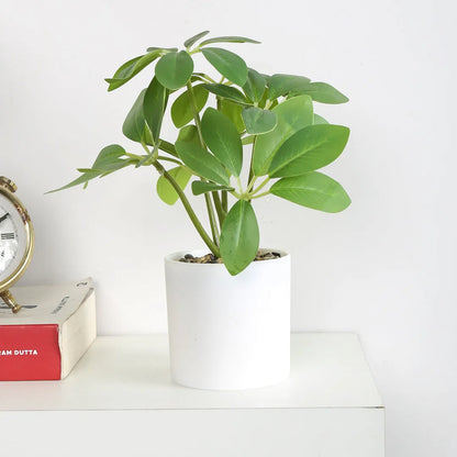 Schefflera Bonsai Artificial Plant with Pot - Home Decor