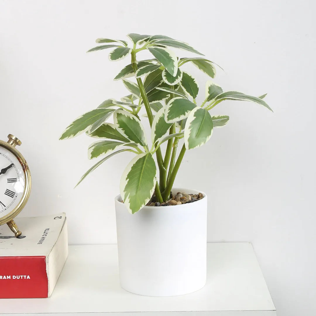 Schefflera Bonsai Artificial Plant with Pot - Home Decor