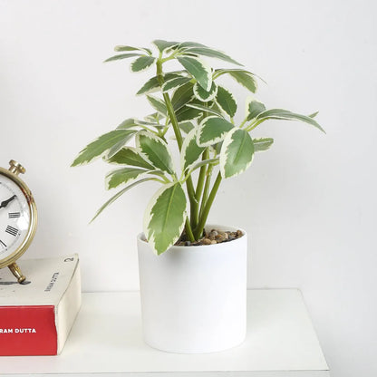 Schefflera Bonsai Artificial Plant with Pot - Home Decor