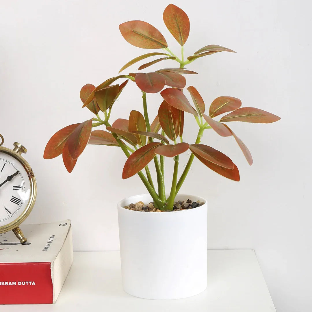 Schefflera Bonsai Artificial Plant with Pot - Home Decor