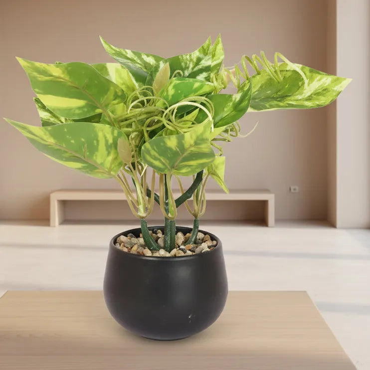 Faux Bonsai Money Plant with Black Pot - Artificial Plant