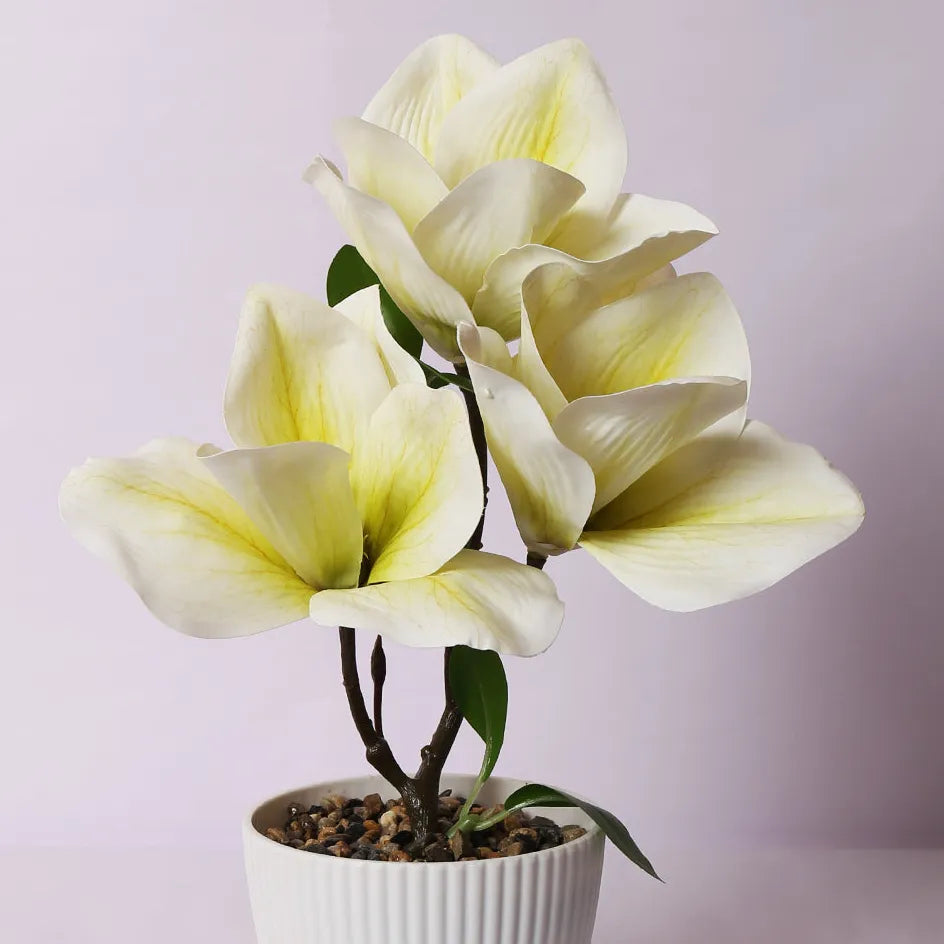 Magnolia Bonsai Artificial Plant with Pot - Home Decor