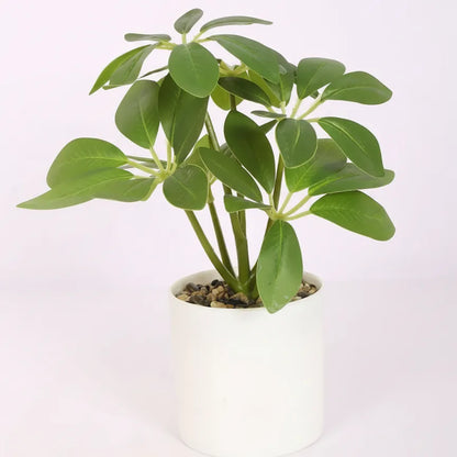 Schefflera Bonsai Artificial Plant with Pot - Home Decor