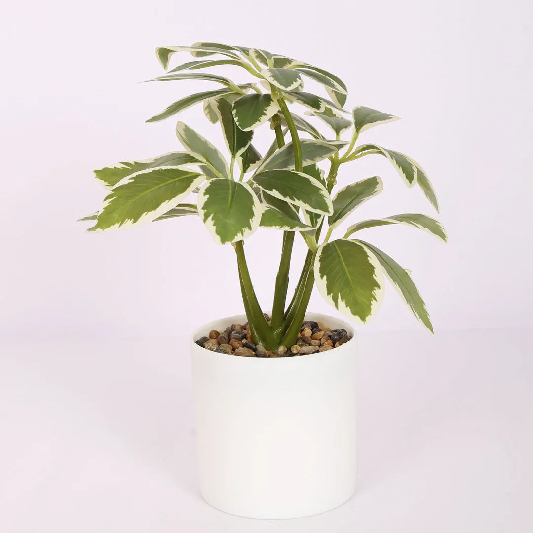 Schefflera Bonsai Artificial Plant with Pot - Home Decor