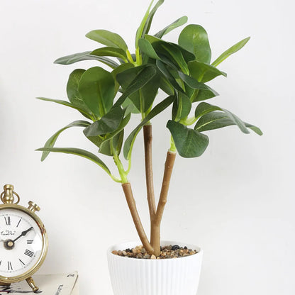 Faux Ficus Bonsai Plant With White Pot - Artificial Plant