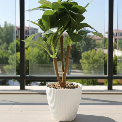 Faux Ficus Bonsai Plant With White Pot - Artificial Plant