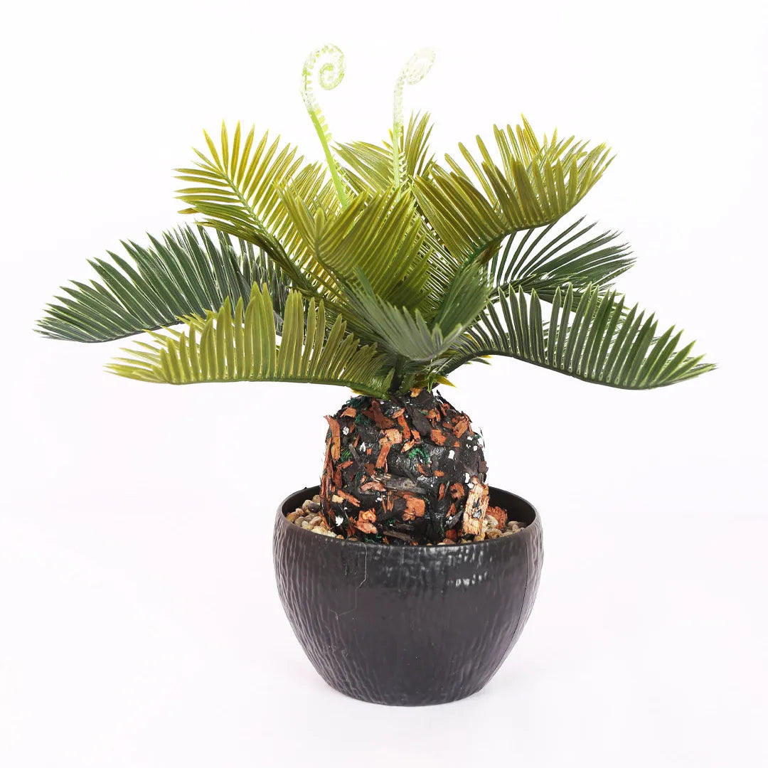 Faux Cycas Bonsai Plant With Black Pot - Artificial Plant