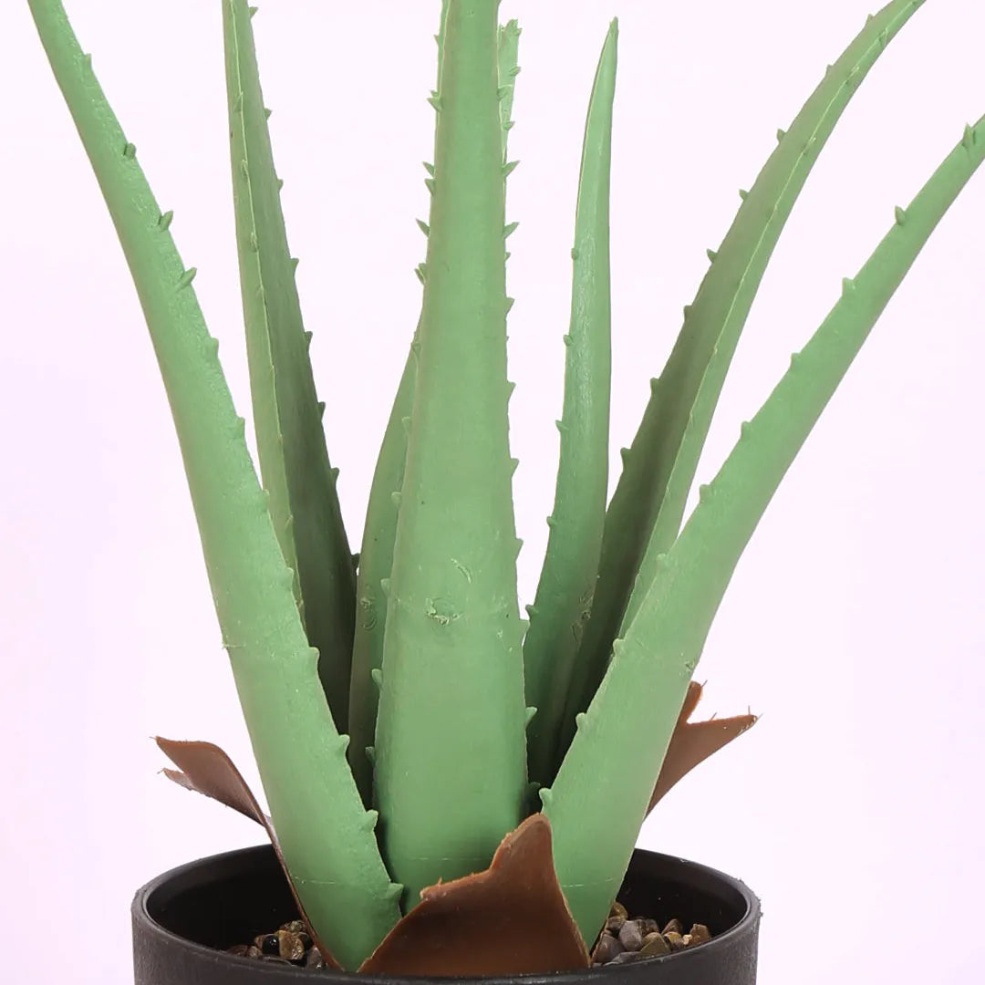 Faux Aloe Vera Bonsai Plant With Black Pot - Artificial Plant